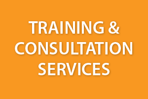 Training & Consultation Services